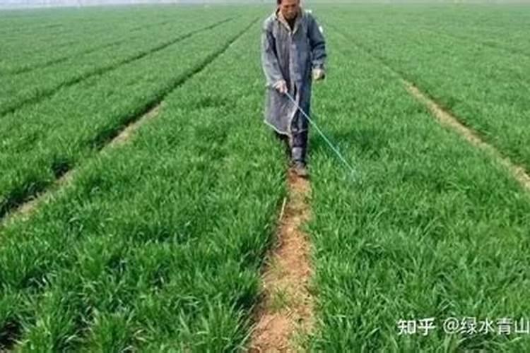 不同钾肥的适用作物和注意事项有哪些？