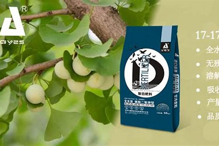 银杏树怎样施肥效果好