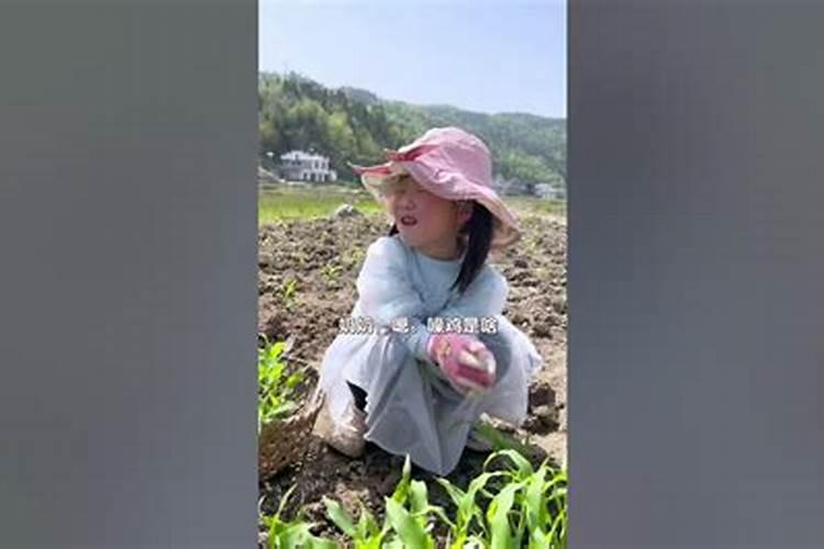 玉米喷什么叶面肥效果最好？