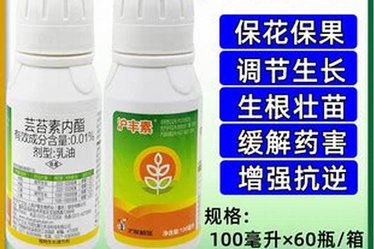 辣椒开花期能喷芸苔素和二氢钾吗