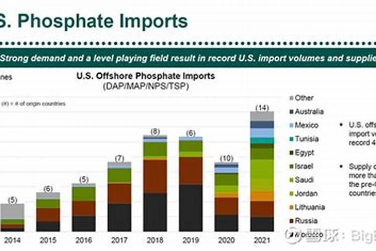 2025年7月磷肥国际价格