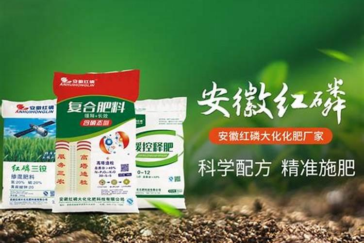 安徽晋煤中能化工股份有限公司怎么样？