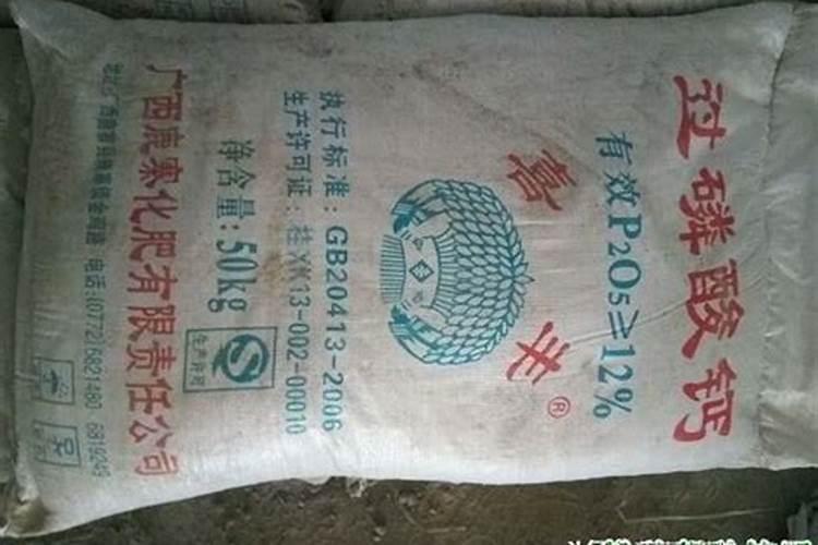 种葡萄要施什么肥料