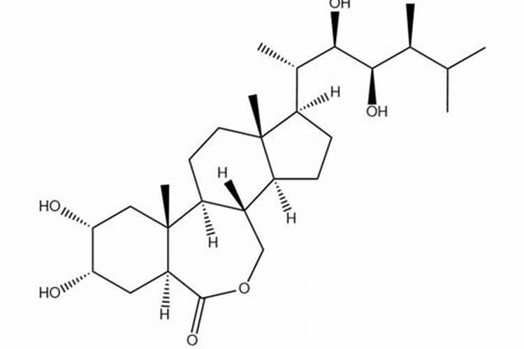 芸苔素使用有什么禁忌