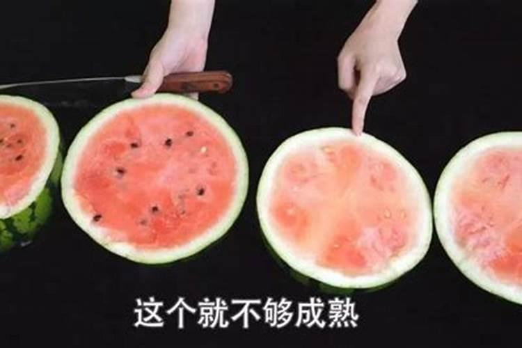 西瓜甜瓜有哪些主要生理性病害