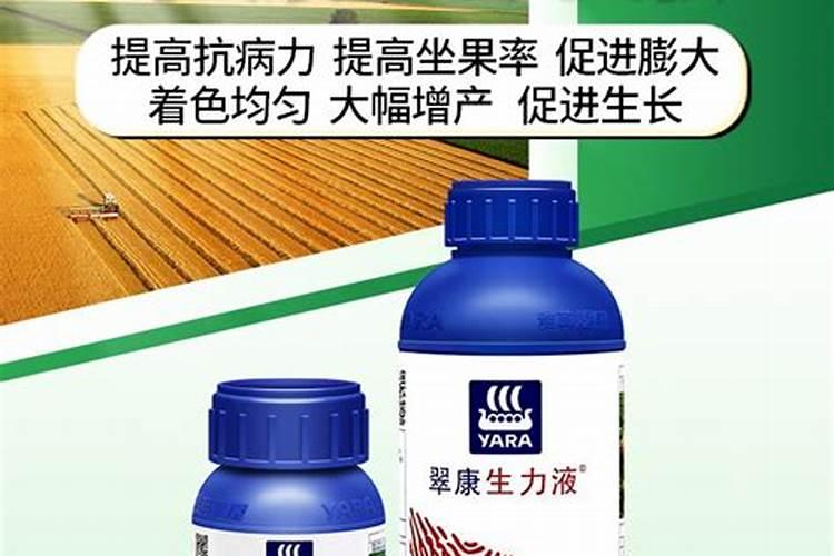 生根肥料有哪些