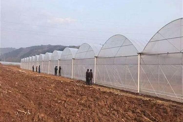 全国有机肥生产厂家多少？