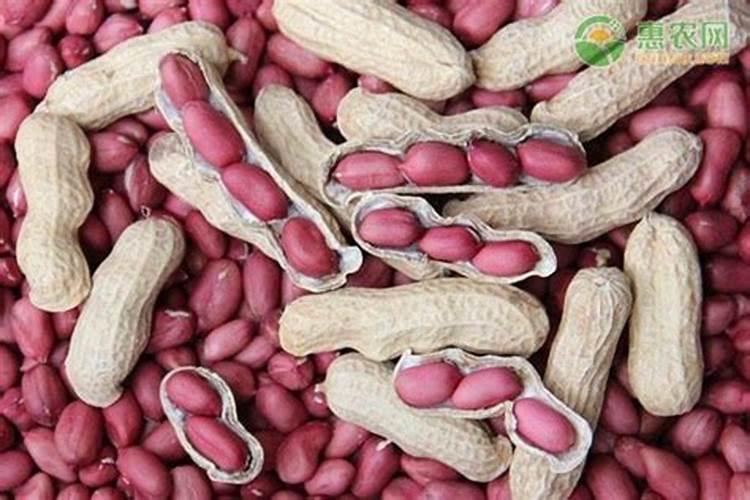 老师一亩花生地氮磷钾肥各多少斤