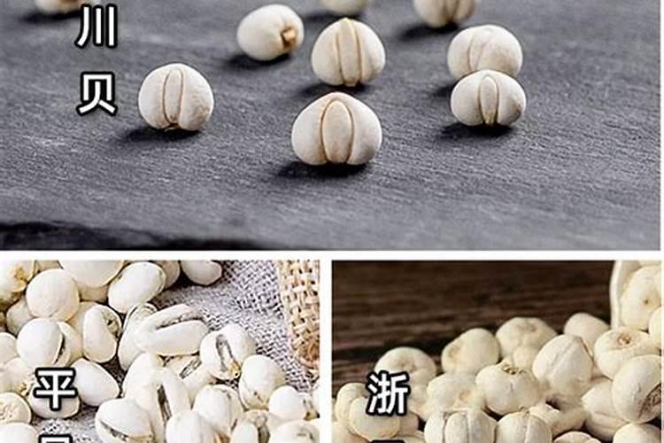 你好我家种植的平贝,也得了黑腐病用什么药最好呢