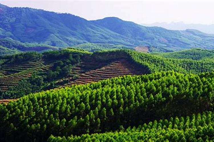 很多农民都不愿意使用尿素种地,这是因为什么？