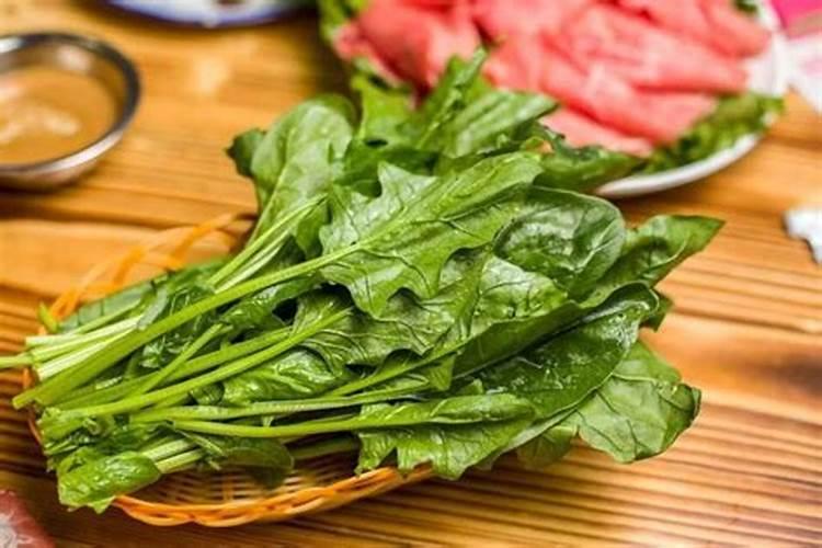 菠菜的需肥特点有哪些？