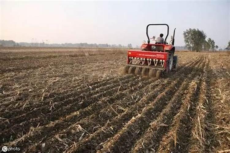 种植小麦前深耕30公分施肥吗