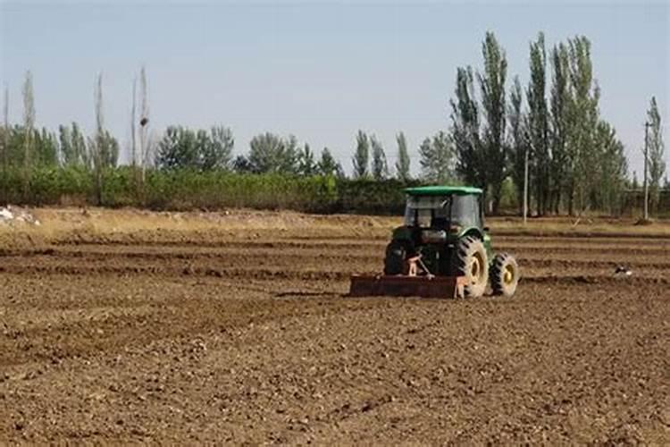 水稻施肥用量多少合适