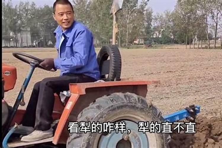 烟薯25淀粉率高吗？