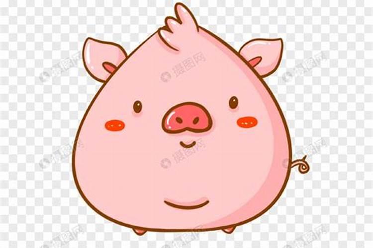 肥肥胖胖是什么生肖