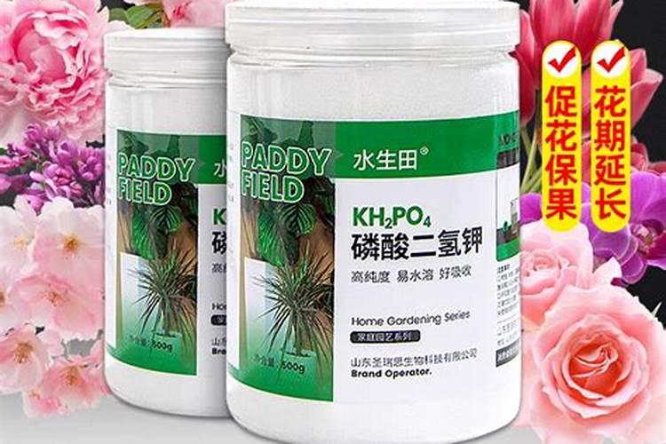 怎样用磷酸二氢钾给花施肥