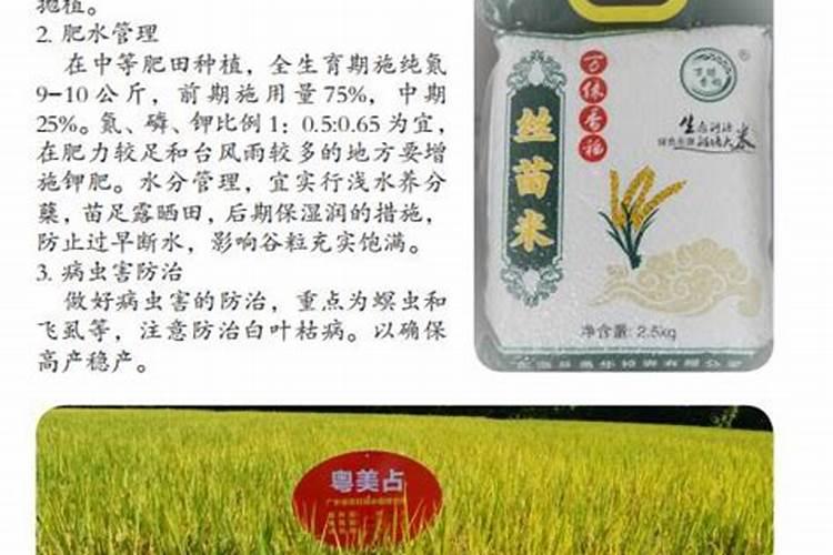 水稻专用叶面肥哪个厂家好？叶面肥哪个品牌好？叶面肥用根小子效果好...