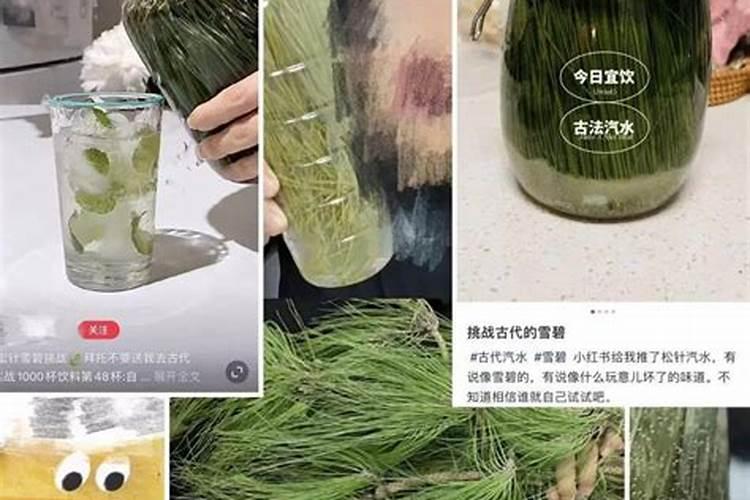 松针可以做肥料吗