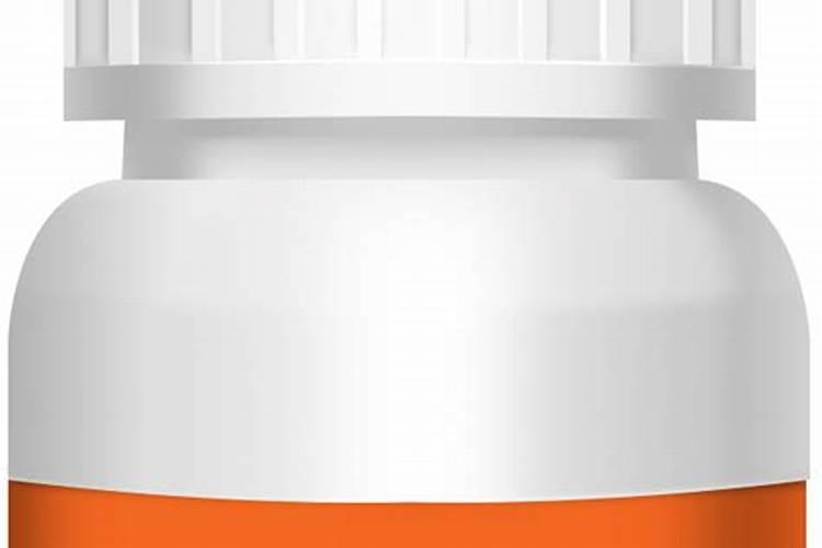 月季花怎么养护和施肥