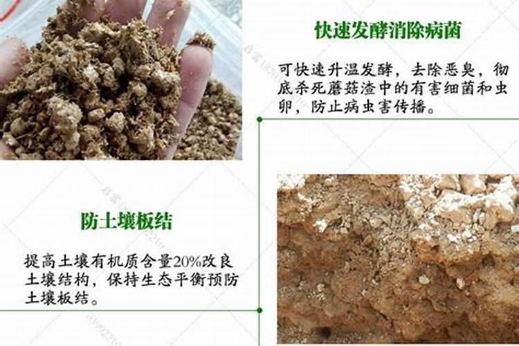 食用菌的废料怎样再利用。
