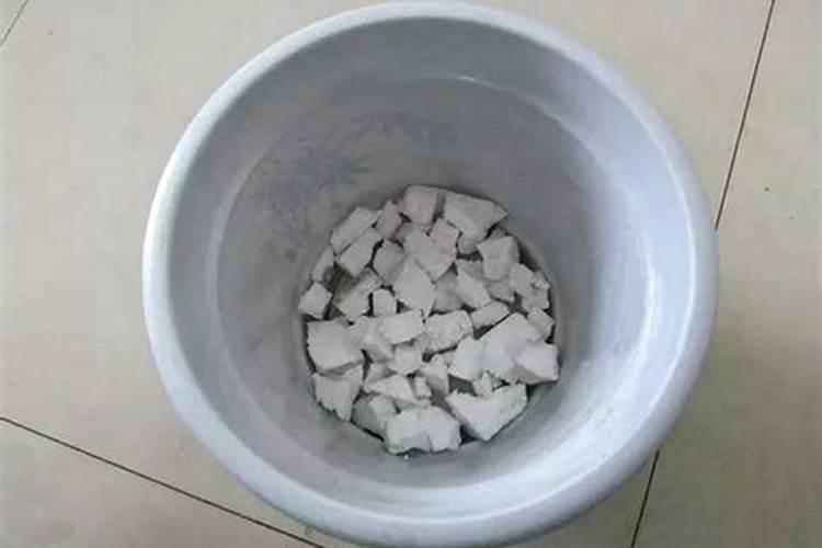 百合花的根部叶黄了怎么办