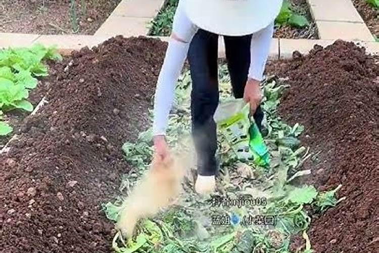 烂菜叶子如何制成有机肥？