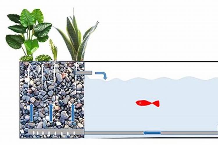 市面上的土豆越来越大,究竟和膨大剂有没有关系？你会吃吗？