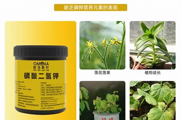 连续使用两次磷酸二氢钾会怎么样