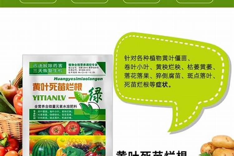 中药材专用叶面肥什么牌子的好？地黄追肥用那种肥料好,壮根肥什么时候施...