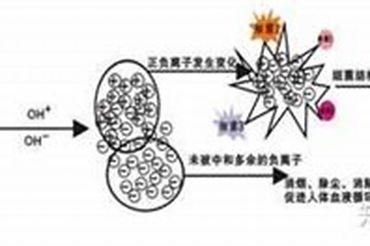 鱼蛋白对农作物的作用