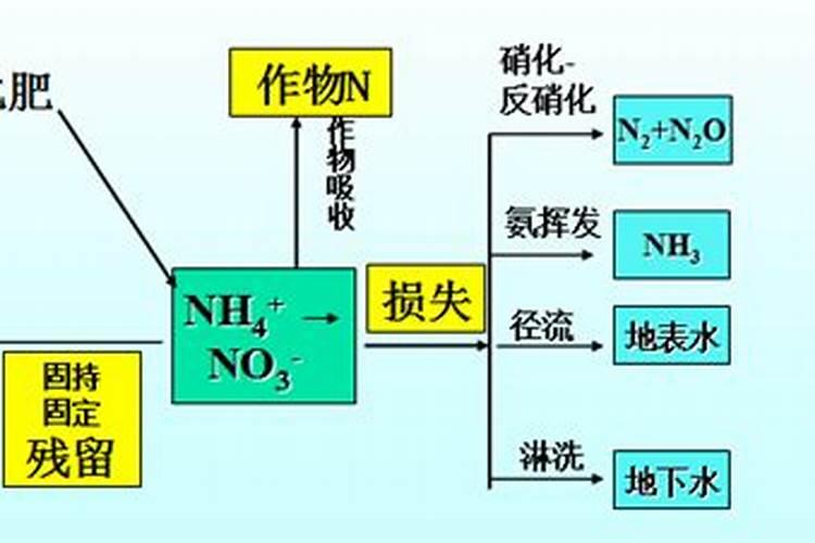烤烟落黄金叶灿好还是大红甲好