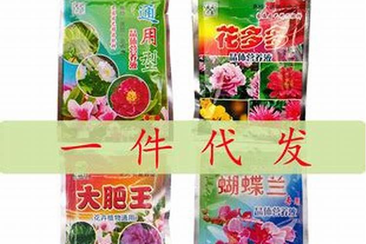 黄瓜施用什么有机肥？