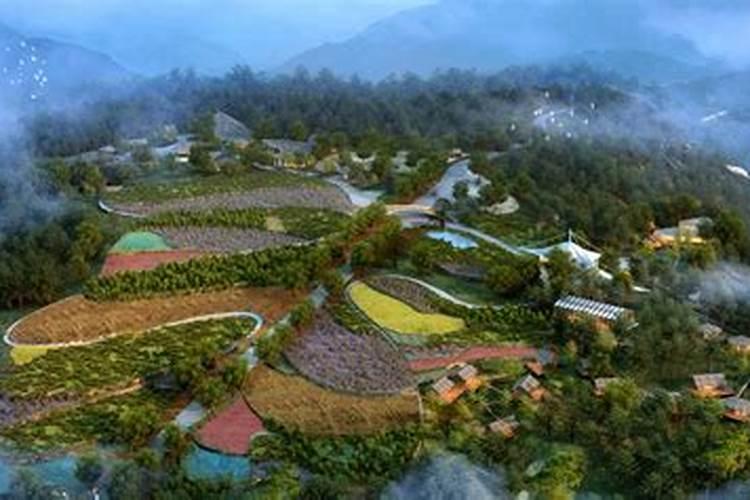 水溶肥十大名牌