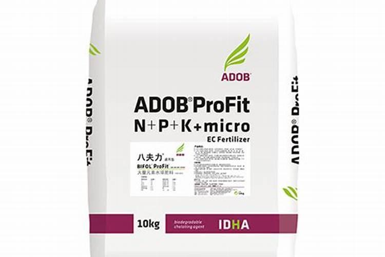 怎么判断长寿花缺水没哪位熟悉的说说？有没有人知道？