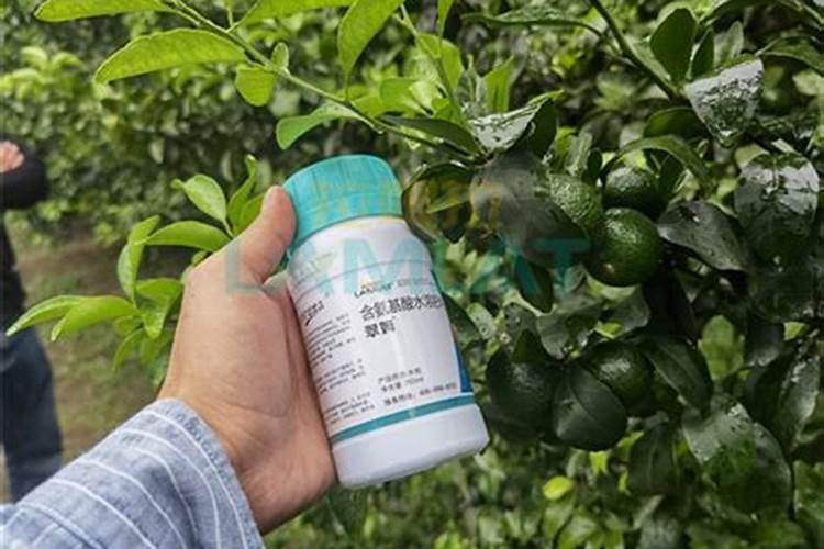 氨基酸叶面肥的功效与作用 氨基酸叶面肥优缺点有哪些