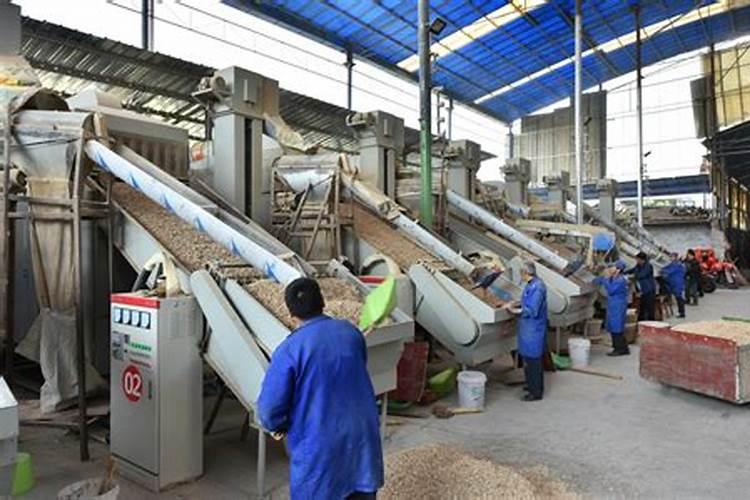 绵阳市三台县鲜卖东每亩地能产量大约多少