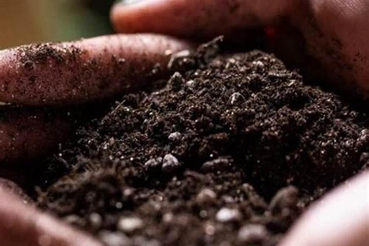 花草浇什么肥料合适