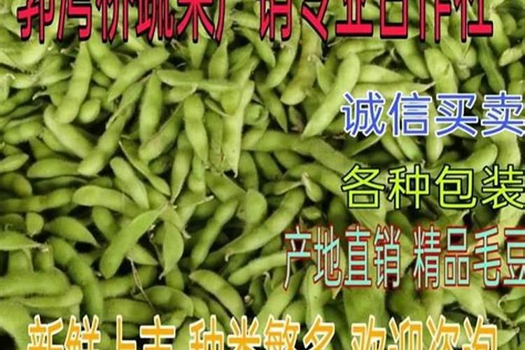 水溶肥十大名牌,摩力水溶肥效果极好