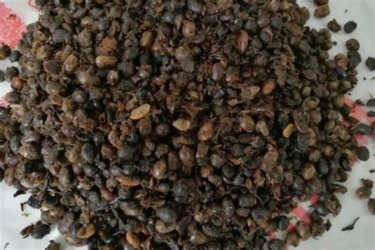 海藻有机肥能完全代替化肥用吗？哪个省钱？哪个效果好？