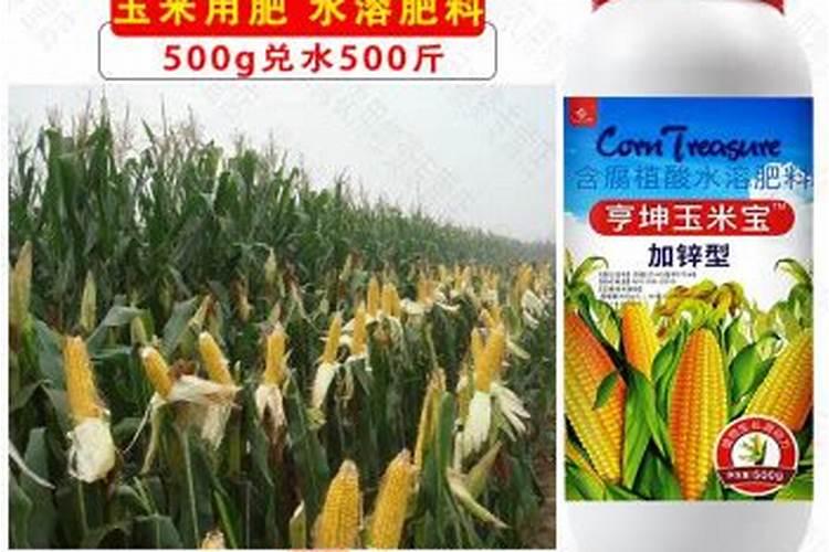 玉米最后一次液面肥打什么好