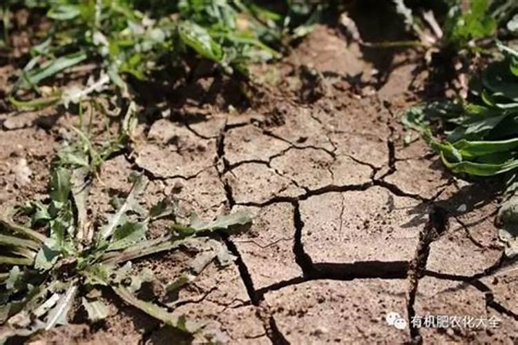 哪种氮肥容易引起土壤结块土壤结块如何处理