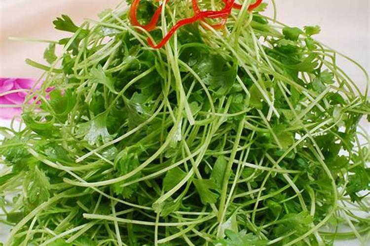 芹菜专用叶面肥哪个品牌好？叶面肥多久用一次？叶面肥价格多少钱？