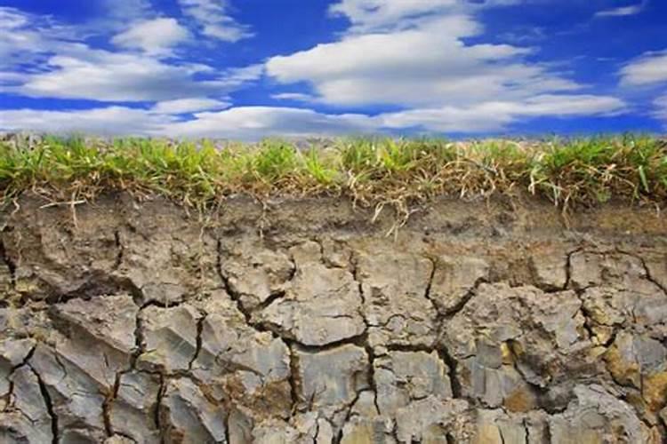 氮肥引起土壤板结,氮肥属于哪种肥料