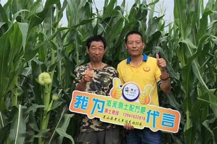 在种植过程中补充钙肥可以用过磷酸钙吗？怎样补充钙肥才最合适？