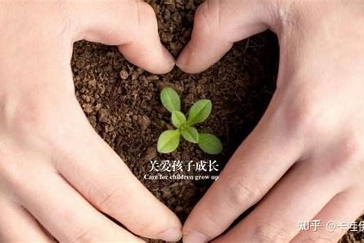 钙镁硼铁锌肥的最佳使用时期