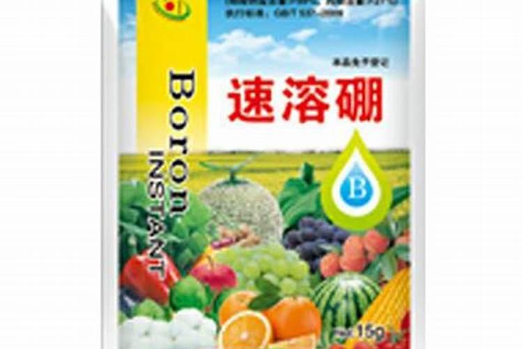 如何施用硼肥？