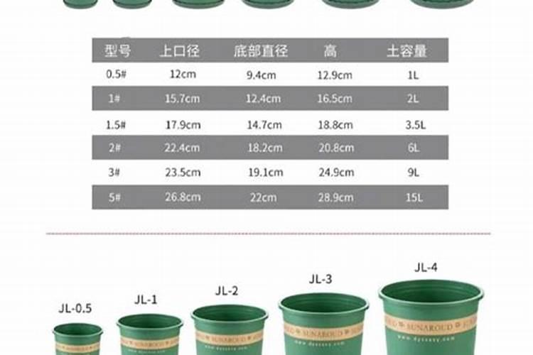 换盆的6大注意事项,让植物快速适应新盆土,快速长新根
