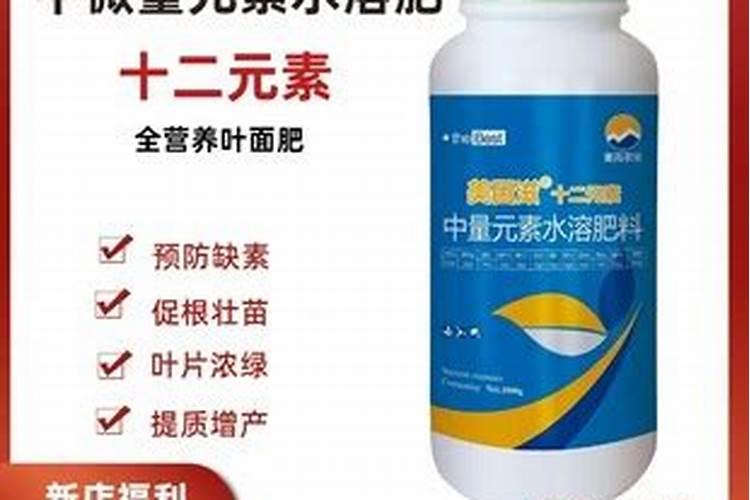 茄子追肥怎么用肥效更高？坐果期追施十二元素好不好