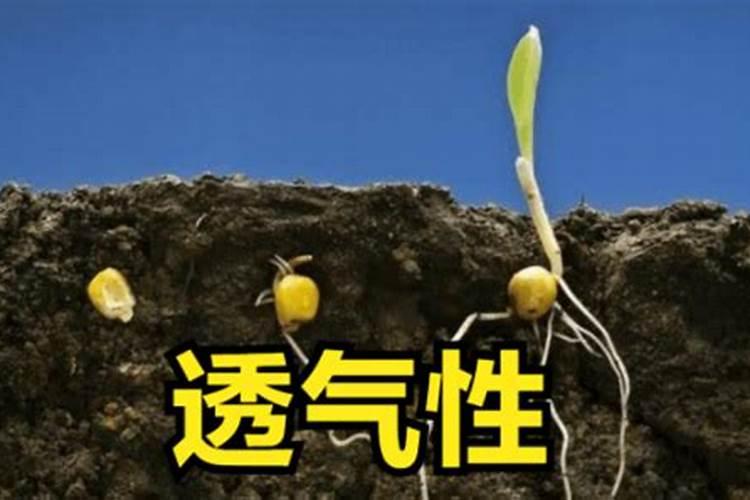 钙肥有哪些