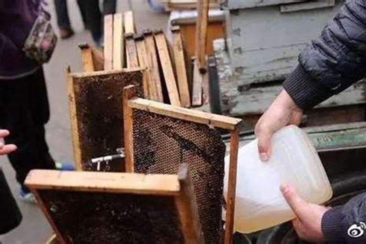 蜂蜜可以作果树叶面肥吗